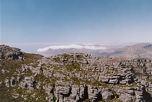 Blick in Richtung Cape Point