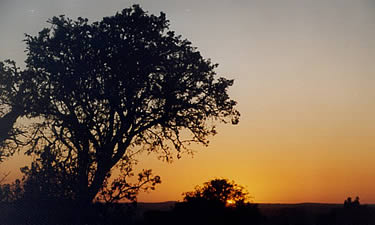 Morgenstimmung an der Olifantskop-Lodge