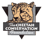 The Cheetah Conservation Foundation